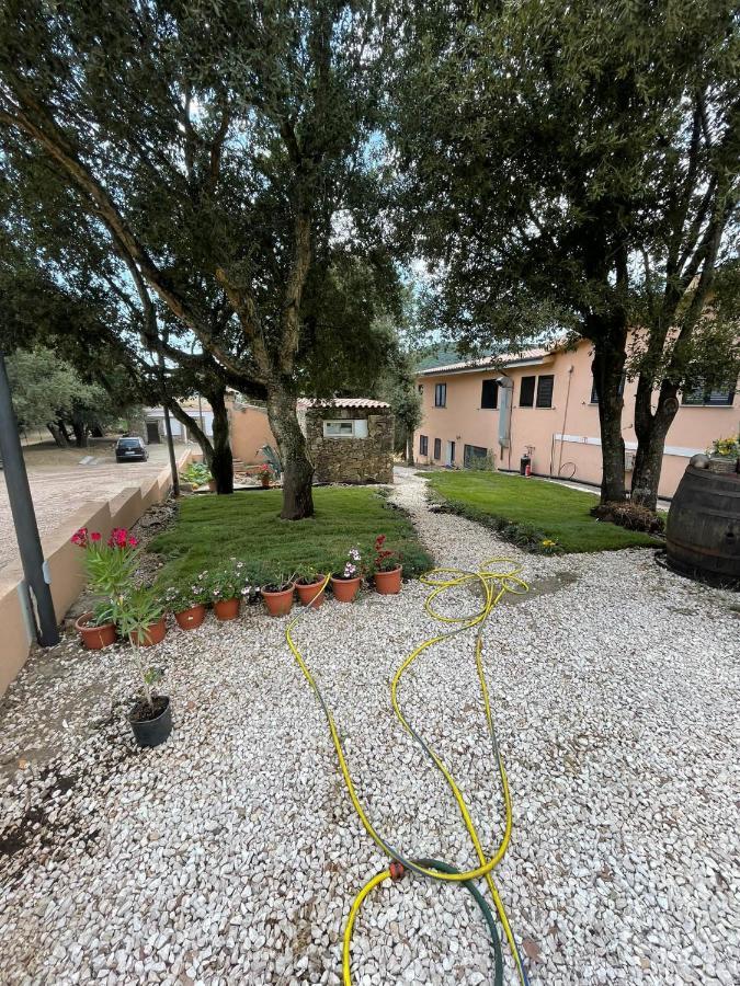 Azienda Agrituristica S'Argalasi - B&B - Affittacamere Loc S'Argalasi Austis Exterior foto